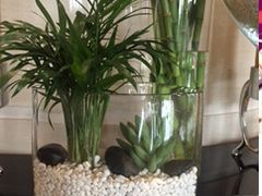 -广交会威斯汀酒店