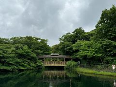 -济州森林小火车生态公园