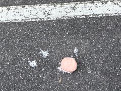 -Dooley's Premium Ice Cream