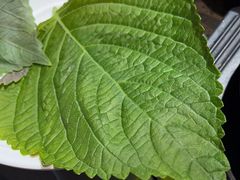 -肉加韩国料理·烤肉(金茂湾店)