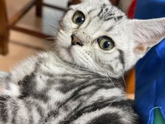 -荔康动物医院(康王北路店)