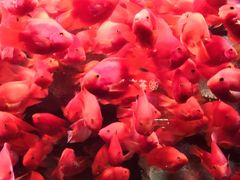 -波塞冬旅游度假区