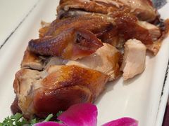 凯鸽风沙鸡-凯鸽酒楼(大同振兴街店)