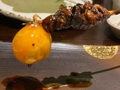 鸡提灯-鸟鹏烧鸟居酒屋(熙龙湾店)