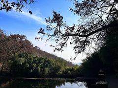 -鲁山国家森林公园