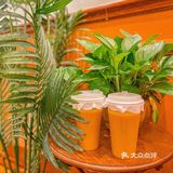 用一顿冬阴功火锅庆祝南宁入冬成功！