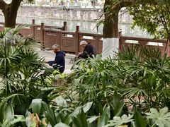 -成都市活水公园