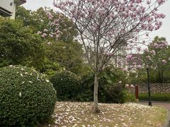 -南通鹏欣花园国宾酒店