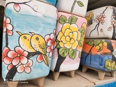 -三圣花乡旅游区