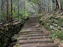 -会稽山峡洞漂流-上青古道
