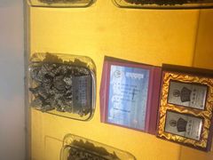 -上海昆虫博物馆