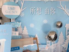 -奔驰利星行(北京花乡店)