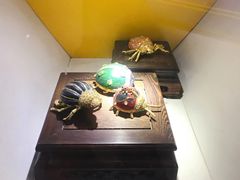 -上海昆虫博物馆