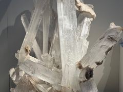 -重庆自然博物馆(新馆)
