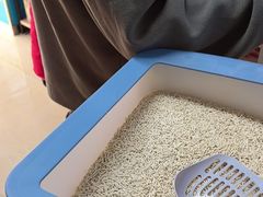 -康爱犬猫诊所·牙专科·骨外科·影像内科(丰宁店)