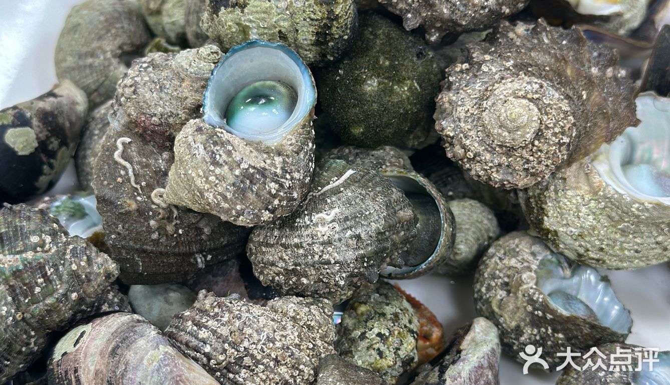 这样的赶海应该没有人不喜欢吧(2)图文篇🥰🥰🥰