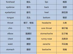 -沃尔得国际英语(泉城路校区)