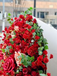 -上海玫瑰医疗美容医院