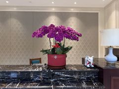 -福建鲤鱼洲酒店