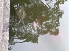 -丝绸小镇荻港古村