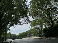 -上海佘山世茂艾美酒店