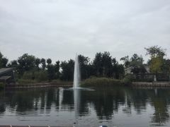-成飞公园