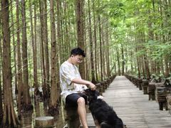 -桤木河湿地公园