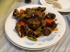 -宾朋海鲜饭庄(兴海路店)