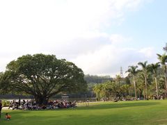 -深圳仙湖植物园