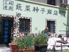 -三林塘老街