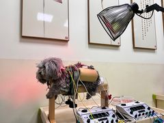 -美联众合动物医院·24h转诊中心