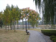 -中国浦东干部学院