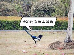 -白塘生态植物园