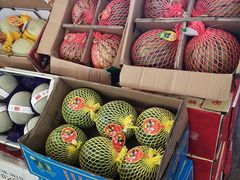 -西郊国际农产品交易中心