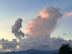 -深圳湾公园(南山区)