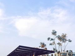 -尚贤河湿地