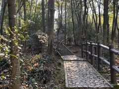 -上海佘山国家森林公园天马山园