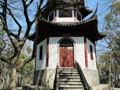 -上海佘山国家森林公园天马山园