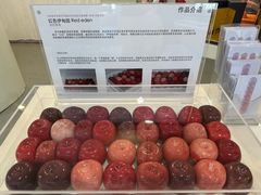 -今日艺术汇书店