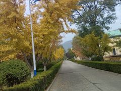 -北京十三陵国家森林公园蟒山景区