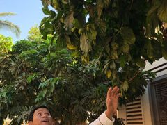 -Champey Cooking Class