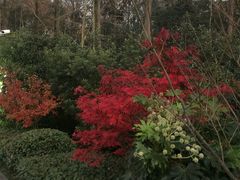-南京东郊国宾馆
