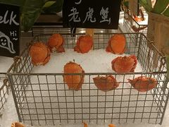 -Social 秀西餐厅-长沙瑞吉酒店(运达店)