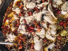 -金三可市井水煮鱼(金碧园店)