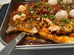 -衡百国际
