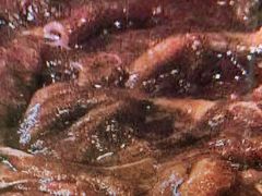 -丫丫汤膳打边炉(宏府408坊店)