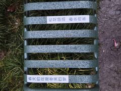 -文武王氏烧饼·无矾油条(西溪路店)