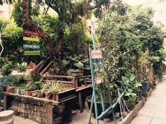 -小洲村