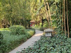 -广州兰圃