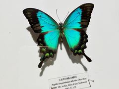 -吉林省自然博物馆